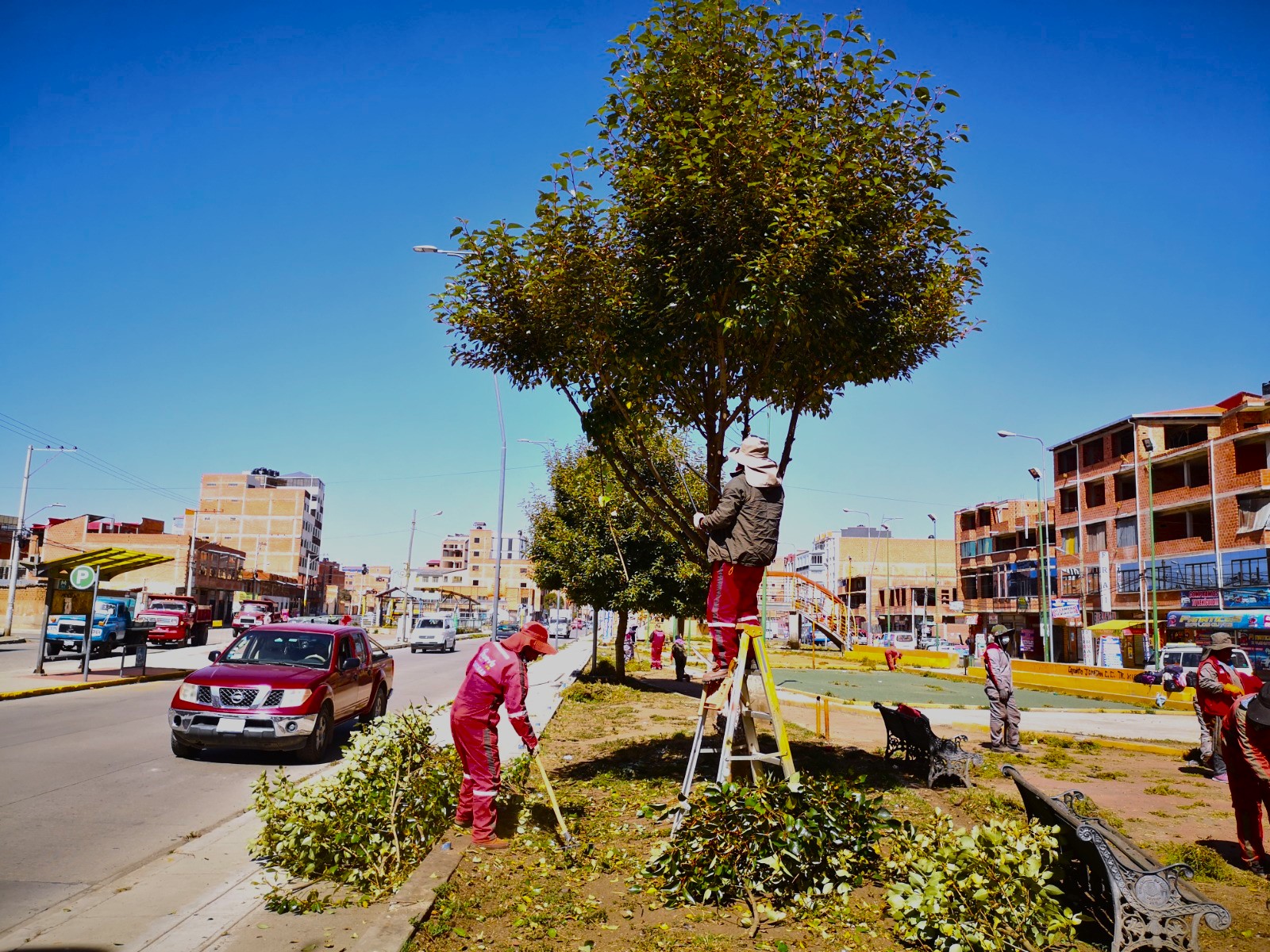 El Alto protege a sus pulmones verdes durante el invierno