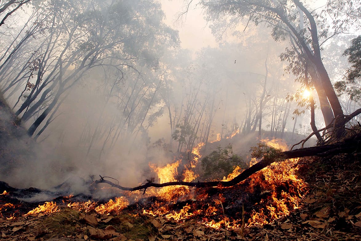 Bolivia y Brasil planifican estrategia para evitar más incendios