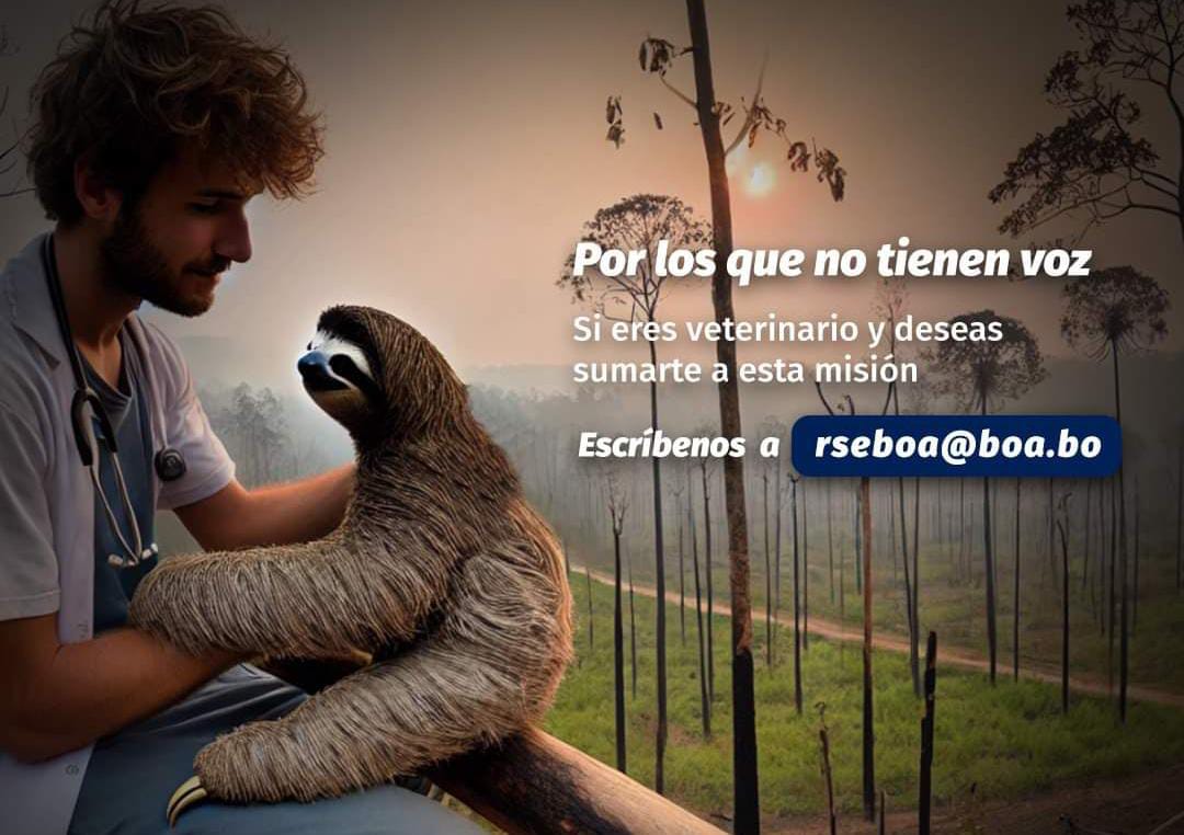 El Ministerio de Medio Ambiente y Agua (MMAyA) y Boliviana de Aviación (BoA) habilitaron vuelos gratuitos para que veterinarios y biólogos puedan asistir a los animales afectados por los incendios forestales.