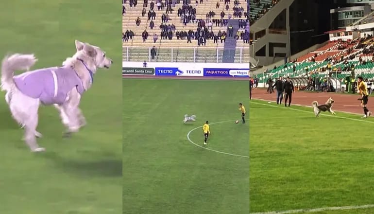 Perrito se roba el show en el empate entre The Strongest y Blooming