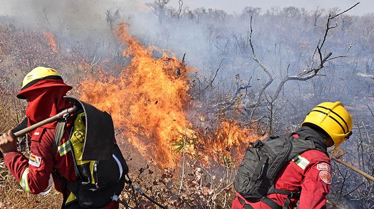 Resultados positivos del plan contra Incendios en la Chiquitanía