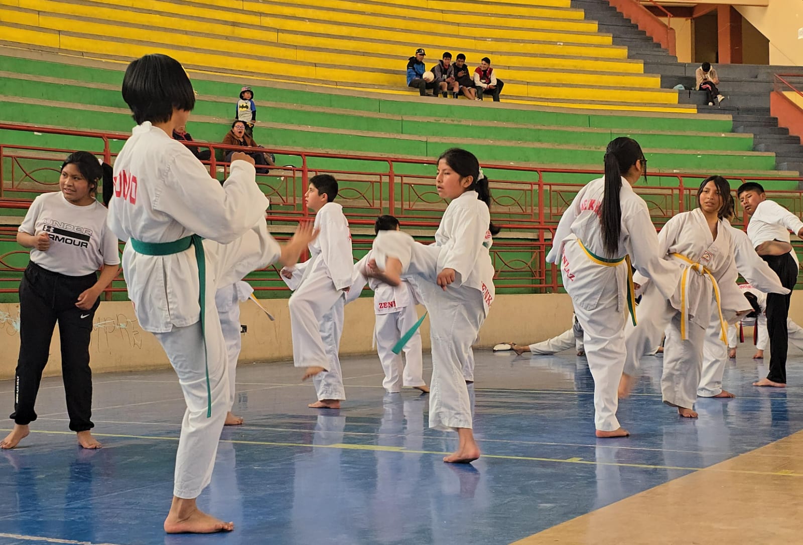 El Ministerio de Salud y Deportes amplió hasta el 30 de septiembre el plazo para que los deportistas entreguen sus documentos y puedan participar en el programa "Sueño Bicentenario".