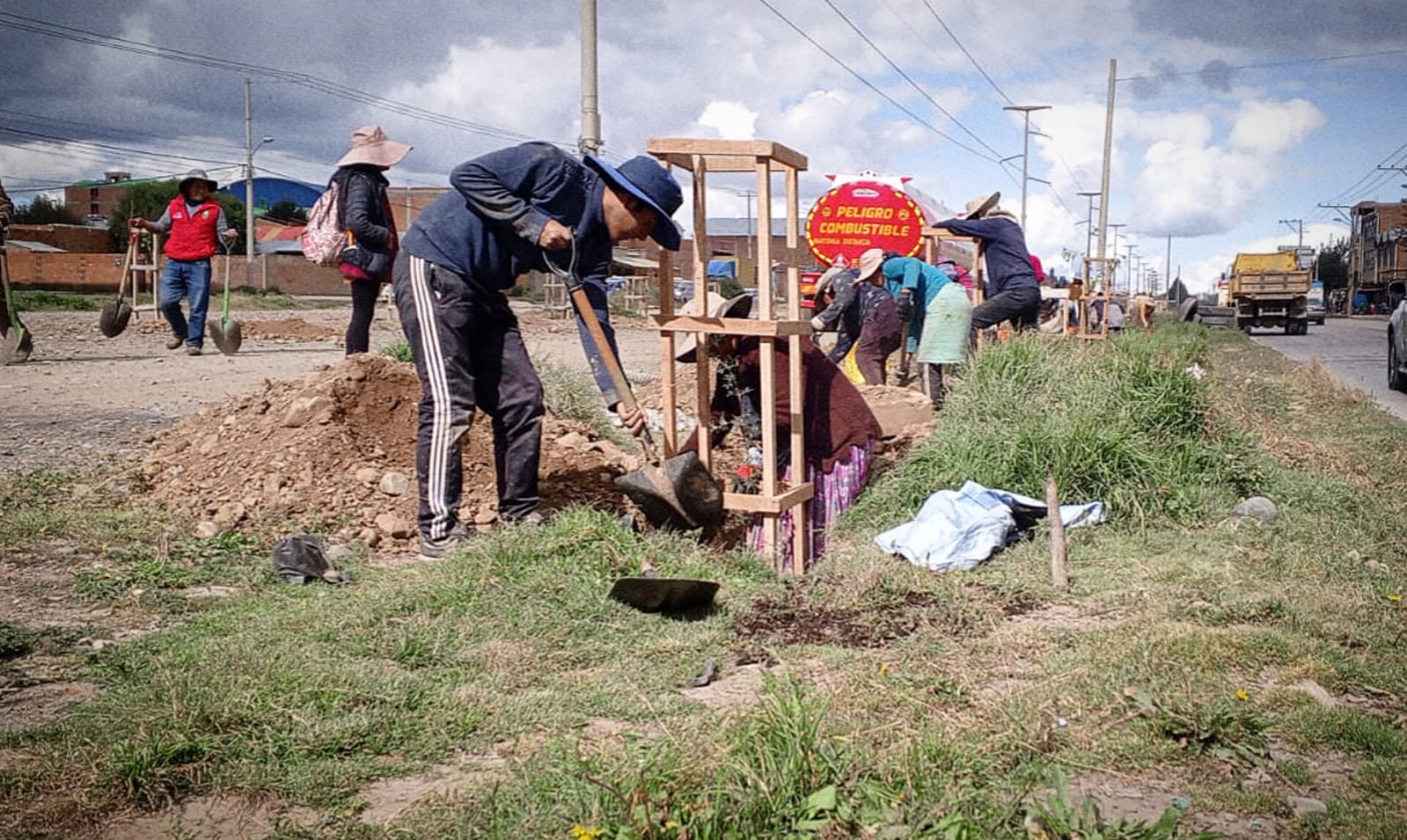 El Alto iniciará masiva plantación de árboles
