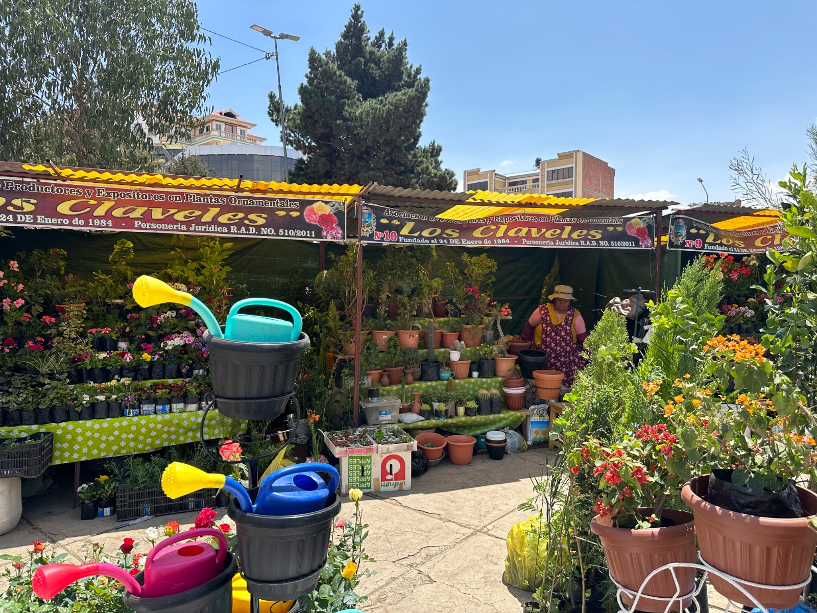 La feria, que estará abierta hasta el 30 de octubre, es parte de una iniciativa para fomentar el cuidado del medio ambiente y la reforestación en la ciudad.