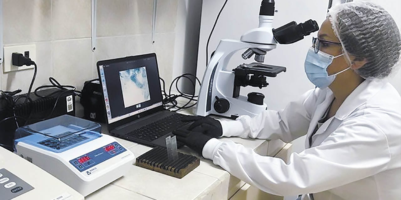 La Alcaldía de El Alto ha cedido un terreno de más de 1.500 metros cuadrados al Ministerio Público para la construcción de un nuevo edificio del Instituto de Investigaciones Forenses (IDIF).