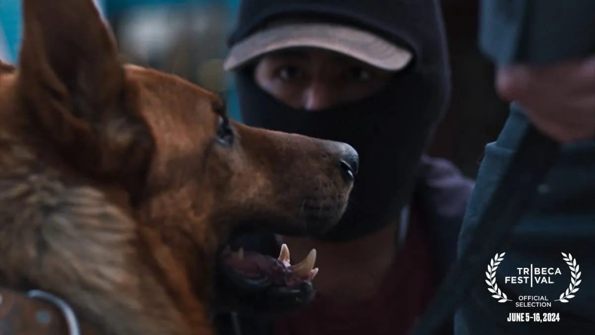 La cinta es protagonizada por Franklin Aro, un joven de El Alto, y dirigida por el chileno Vinko Tomičić.