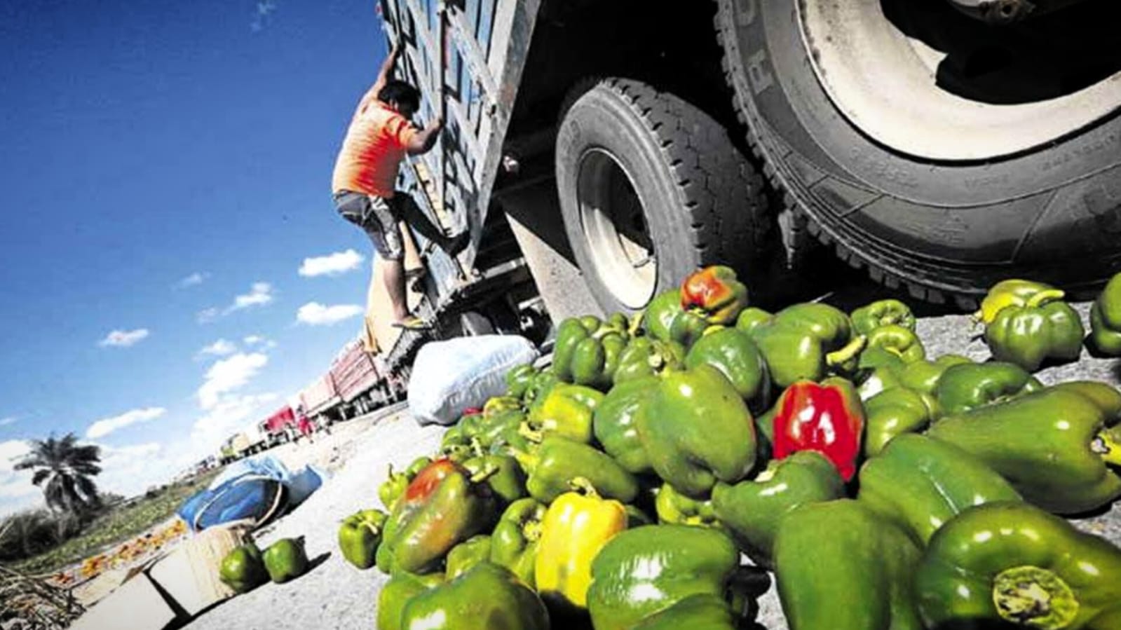 Bloqueos en Bolivia obligan a desechar alimentos y flores