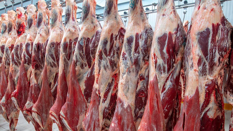 El Gobierno, junto con la Empresa de Apoyo a la Producción de Alimentos (Emapa), transportó más de 20 toneladas de carne de res a La Paz por vía aérea para asegurar que el producto se venda a “precio justo” en los mercados de la ciudad.