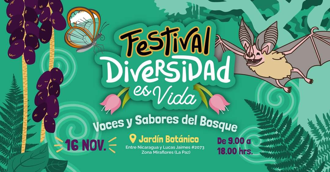 Festival Diversidad es Vida: Voces y Sabores del Bosque