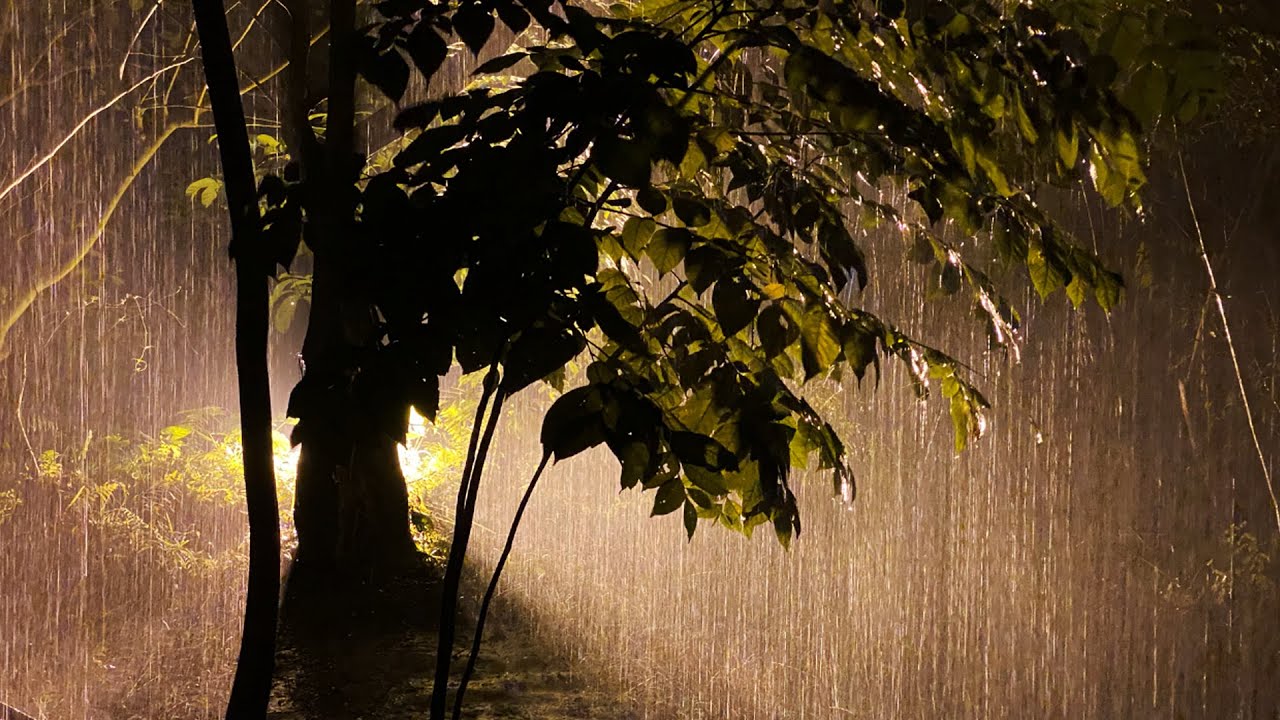 Las lluvias apagan incendios en el Parque Nacional Madidi