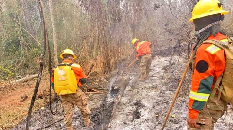 La CIDH llegará a Bolivia para conocer el impacto de los incendios en el país