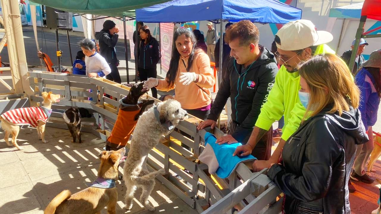 Este sábado 21 de diciembre, los paceños tendrán una oportunidad especial para cambiar vidas. Desde las 10:00 hasta las 17:00, la plaza Camacho será el escenario de una jornada de adopción responsable organizada por la Casa de la Mascota y diversas fundaciones.