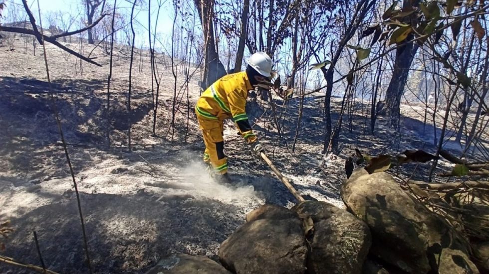 Defensa Civil detendrá a los que provoquen incendios forestales