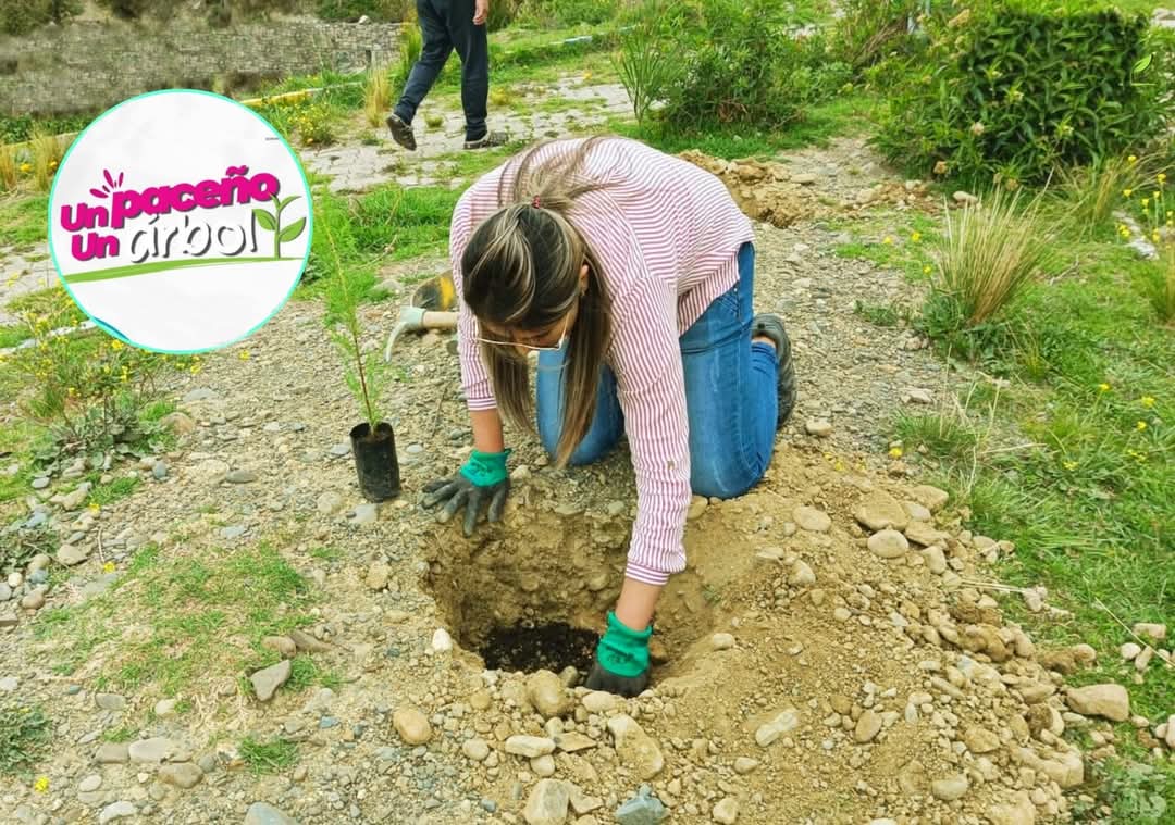 Campaña de forestación en La Paz continúa este 15 de marzo