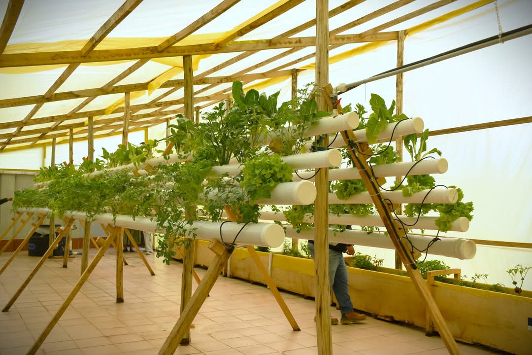 Buscan voluntarios para transformar colegios con huertos escolares inteligentes