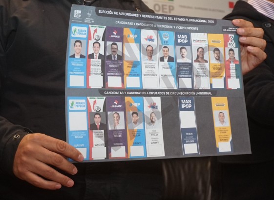 TSE rechaza intento de inhabilitar candidatos en funciones y defiende sus derechos políticos