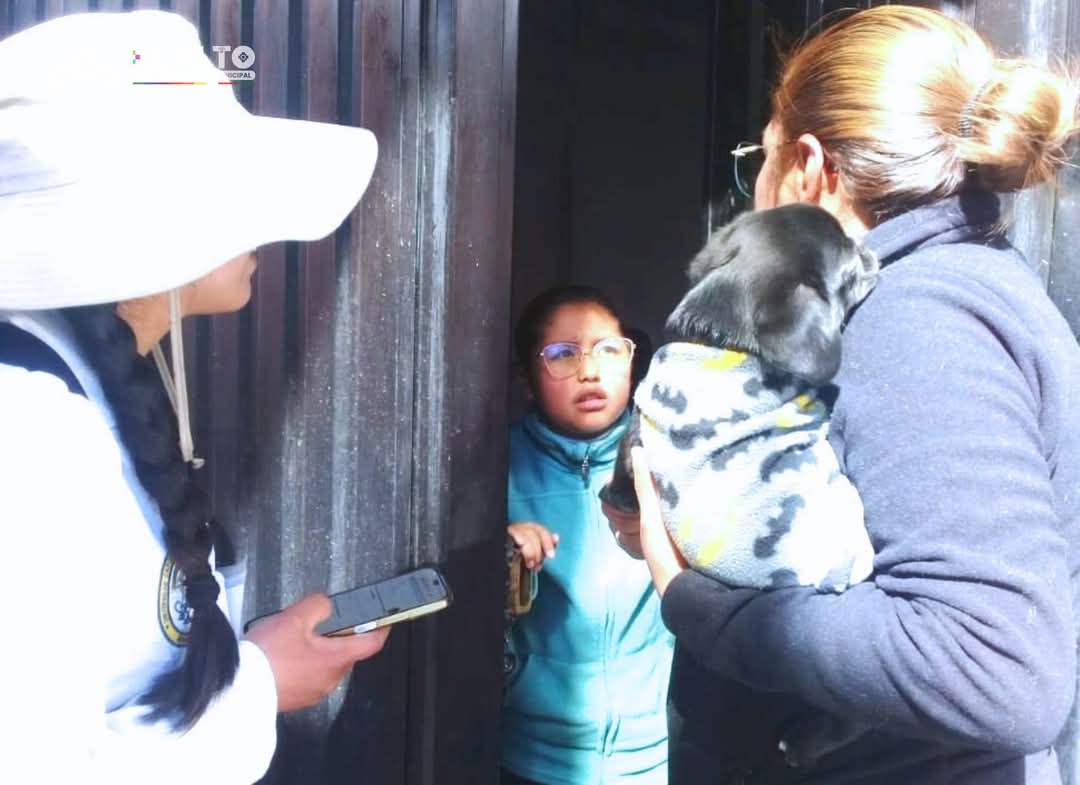 El Alto impulsa su primera encuesta sobre perros y gatos con apoyo de la UPEA