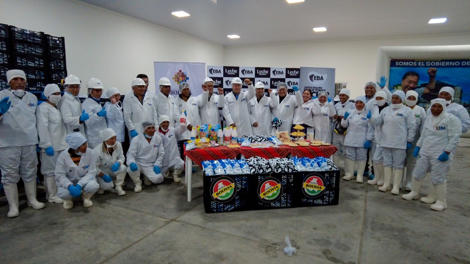 Achacachi ya produce el doble de leche y llega a más escuelas y familias