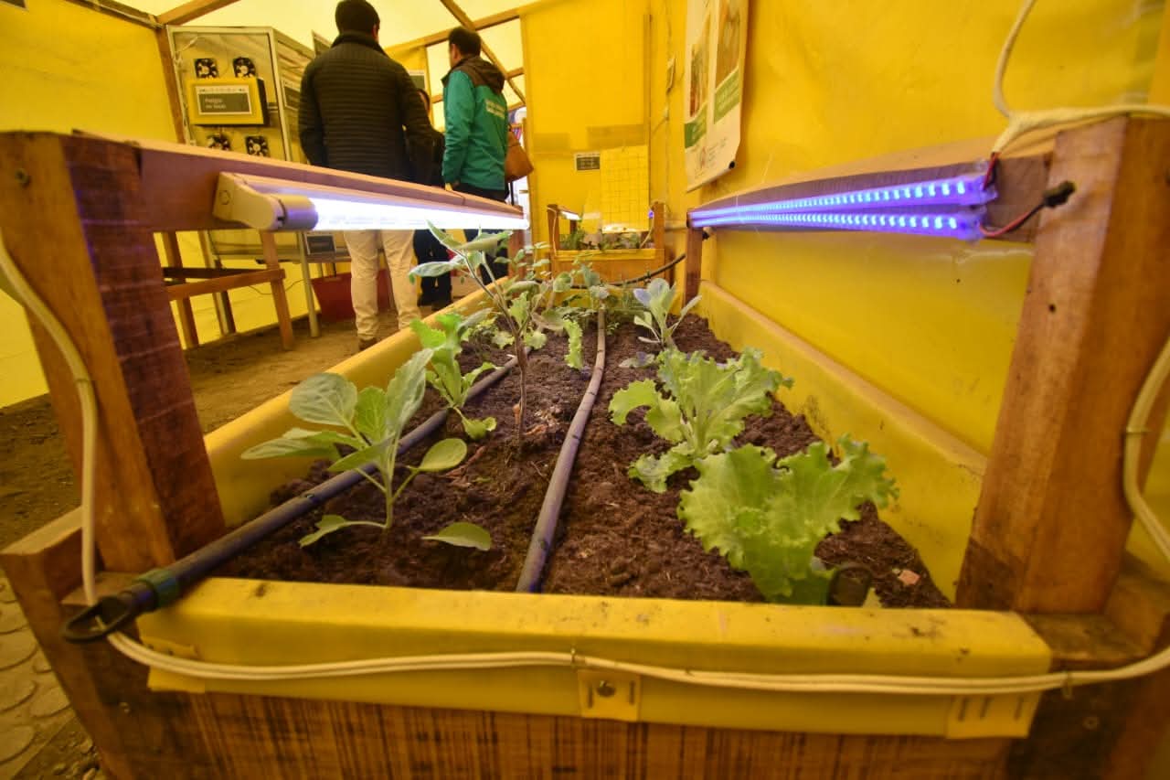 Gana 5.000 dólares con tu proyecto tecnológico en La Paz TEC del Bicentenario