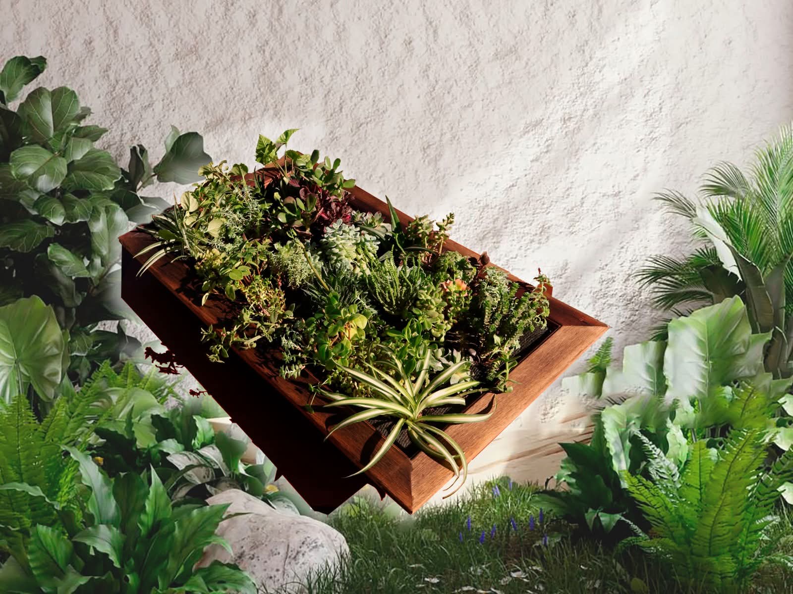 Plantas que decoran como arte: llegan los “Cuadros Vivos”