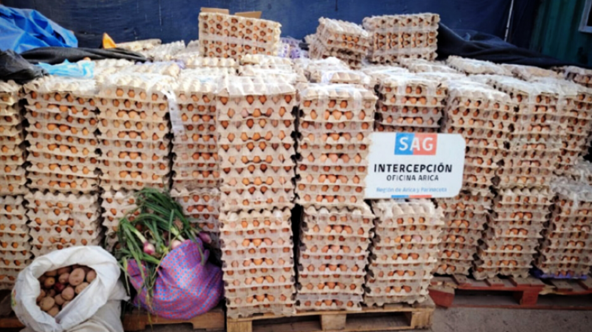 Chile decomisa más de un millón de huevos bolivianos en medio de alerta por contrabando