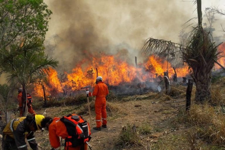 Bolivia destina Bs 20 millones para frenar incendios y proteger la vida