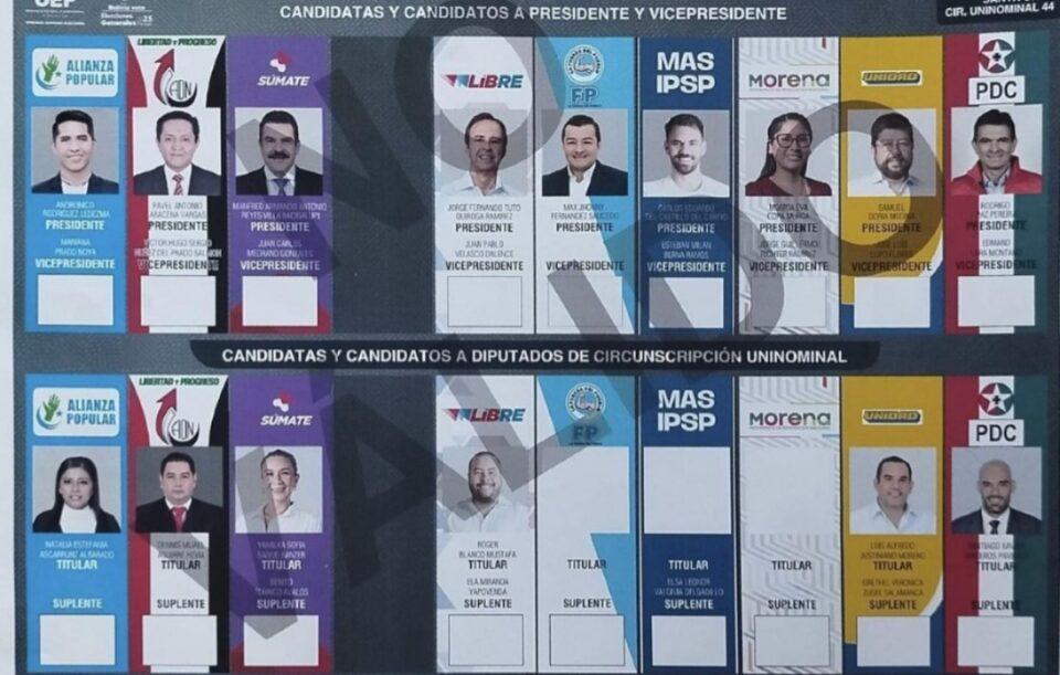 Franja gris para NGP: papeleta electoral no se modificará