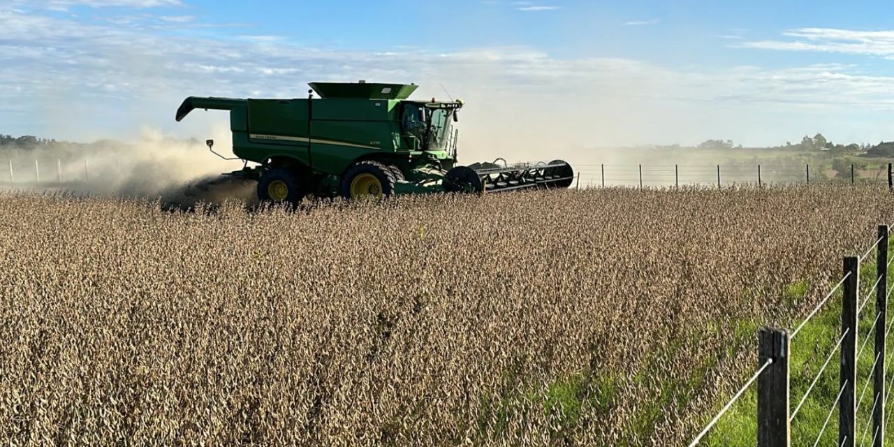 El Gobierno busca asegurar el suministro de diésel para el sector agrícola en medio de una escasez que ya preocupa. Los ministerios de Desarrollo Rural y de Hidrocarburos están coordinando acciones para garantizar el combustible necesario en plena campaña de invierno. El ministro de Desarrollo Rural, Yamil Flores, explicó que el sector agroproductivo se encuentra en una etapa crucial: se realizan tareas de fumigación, manejo de cultivos, cosechas y la zafra de caña. Para todo eso, se necesita una gran cantidad de diésel. Según Flores, se requieren 70 millones de litros solo para esta temporada, pero hasta ahora solo se entregaron poco más de 20 millones. “Los 30 millones de litros más urgentes son para esta etapa de manejo cultural y cosecha”, subrayó. Reconoció que hay dificultades para conseguir combustible, y una de las razones es la falta de dólares que complica las importaciones. “Eso no lo podemos negar, pero hay instrucciones del presidente Arce para priorizar la producción de alimentos”, dijo. Por su parte, YPFB indicó que actualmente entrega todo el combustible que el mercado necesita, pero no tiene fondos para cubrir demandas adicionales. El objetivo principal ahora es claro: que no falte diésel donde se produce comida.