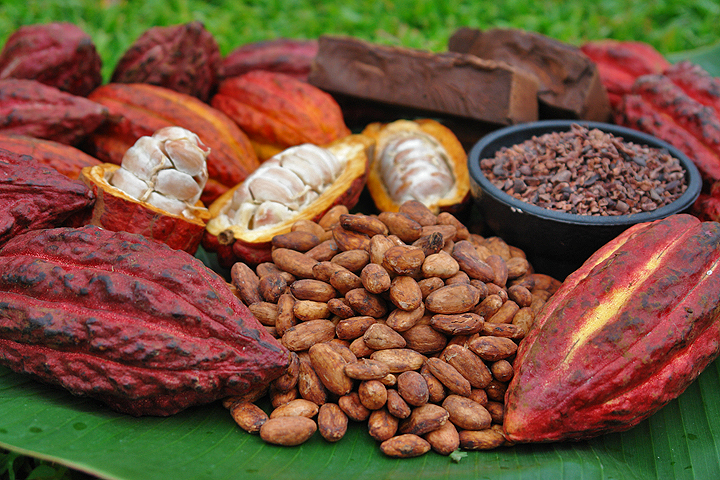 Café, cacao y frutos: Bolivia rompe récord con más de $1.700 millones en exportaciones