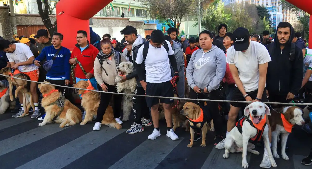 Perros y dueños corren por el respeto animal en La Paz