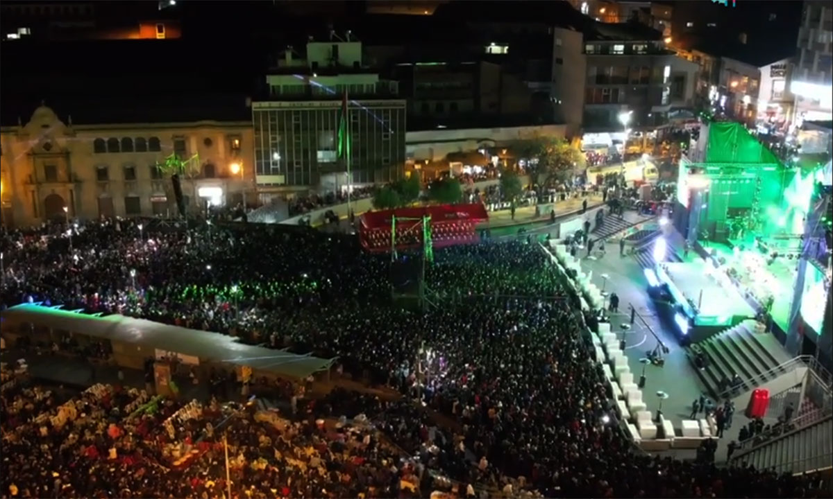 Suspenden Verbena parcela