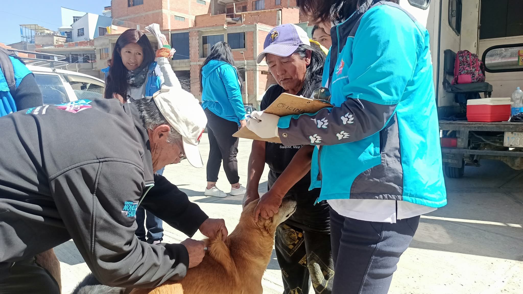 Agosto, el mes de los peluditos en La Paz: censo, vacunas y más