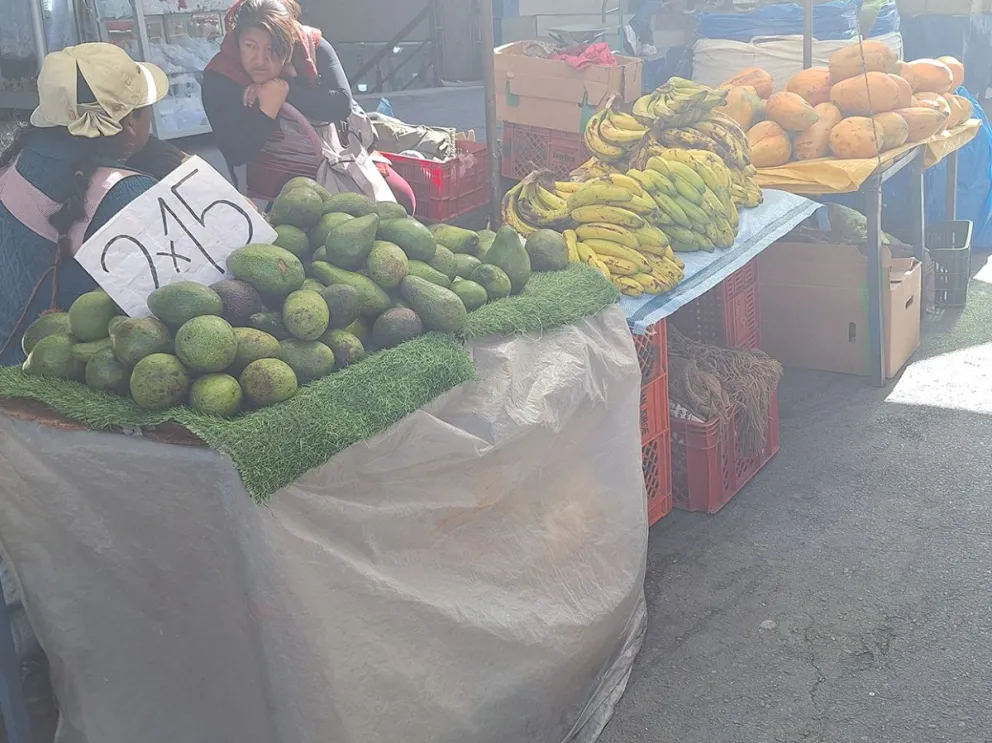 Senasag anuncia refuerzo de controles fronterizos para impedir el ingreso de palta peruana contaminada con cadmio