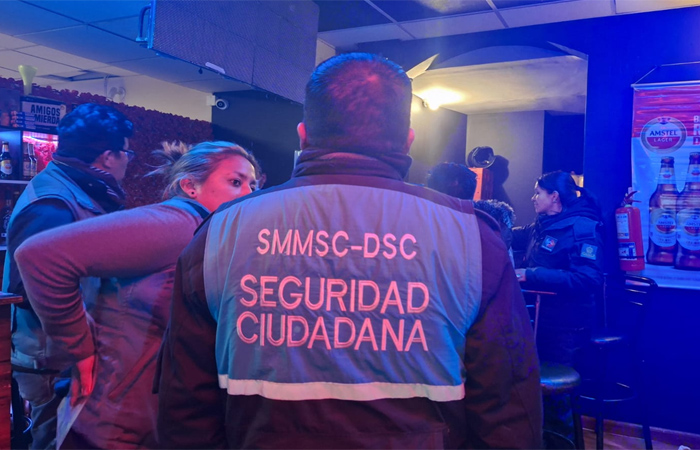 Seguridad Ciudadana