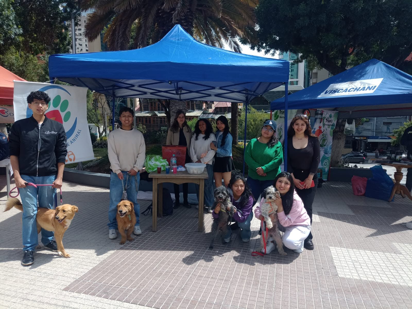 Feria de Adopción