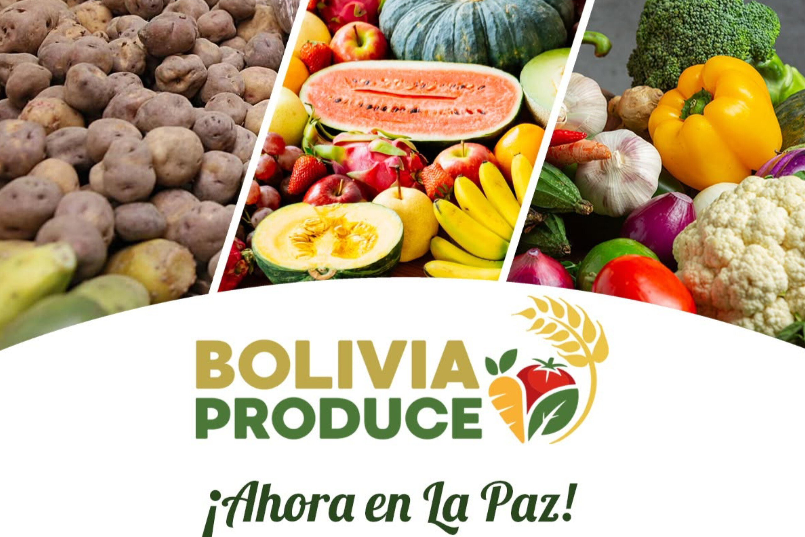 Bolivia Produce