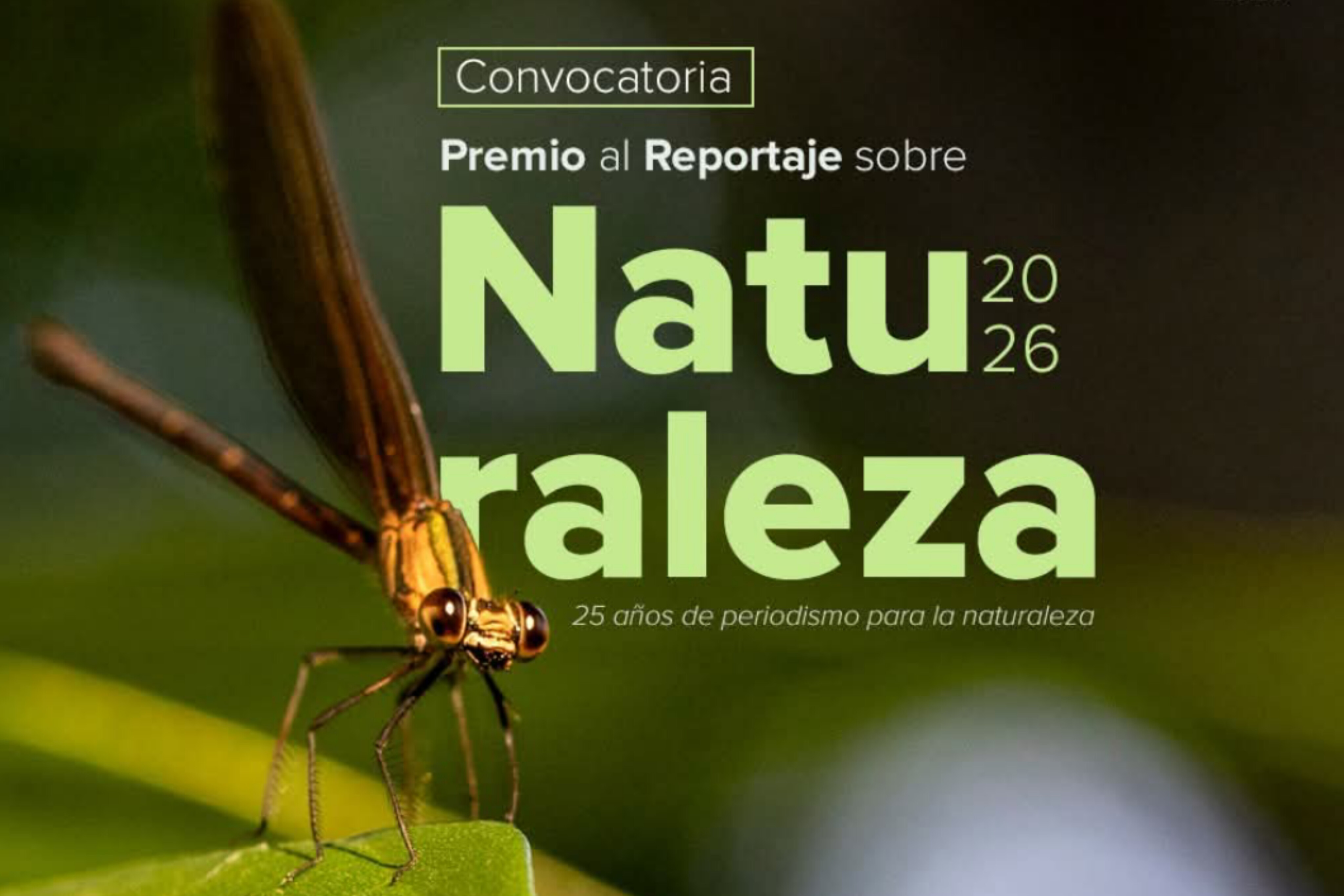 Concurso de la Naturaleza