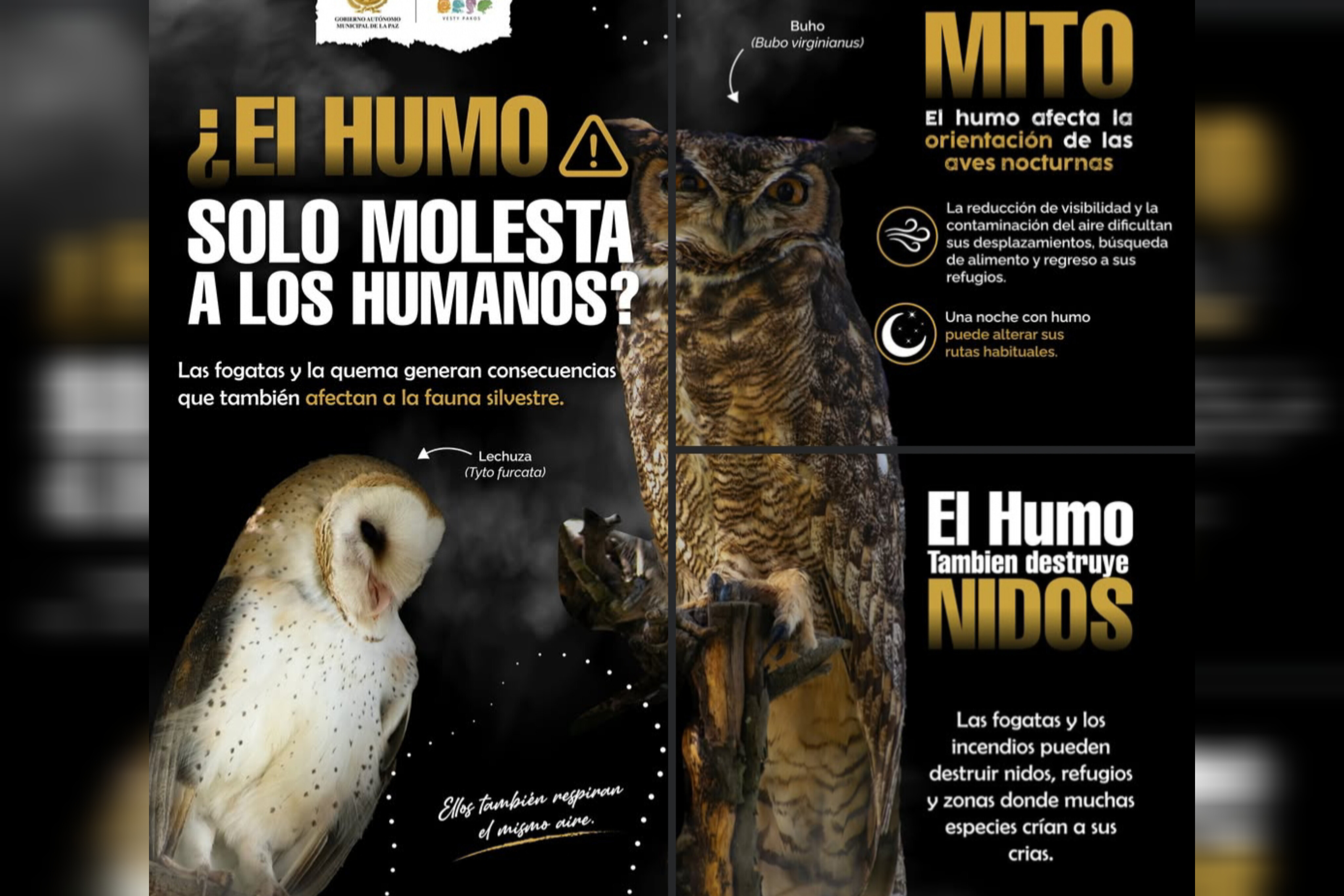 Vesty Pakos animales