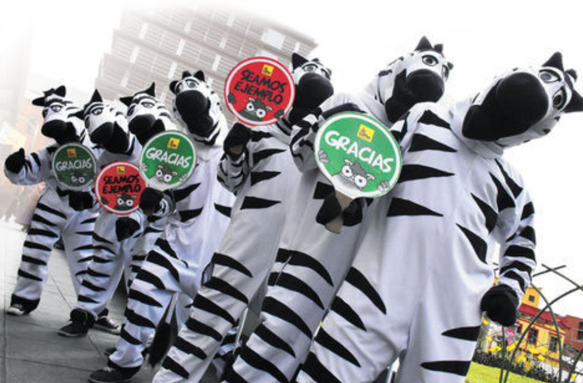 Cebras