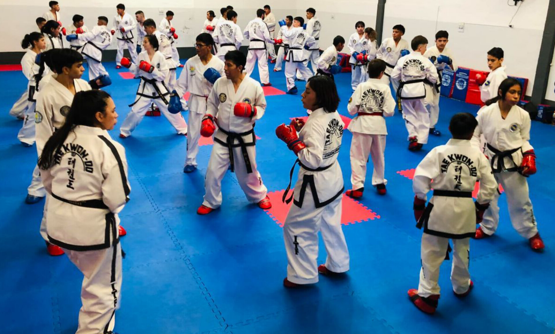 Taekwondo
