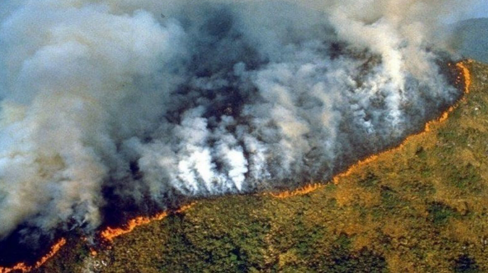Incendio Forestal