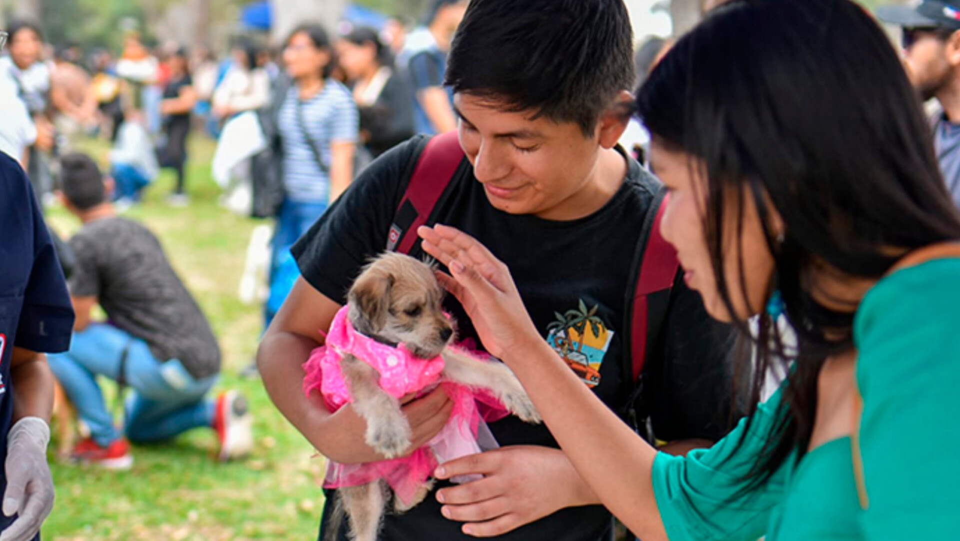 Adopción de perritos