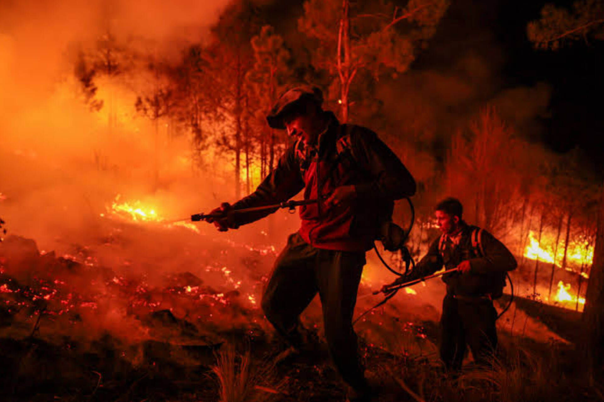 Incendios forestales