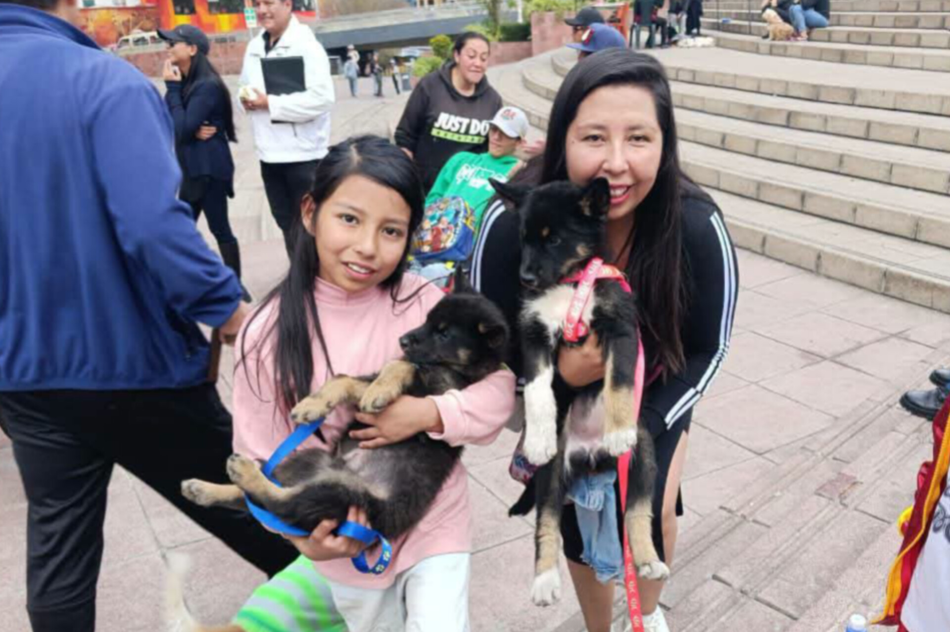 Jornada de vacunación y desparasitación de mascotas en La Paz