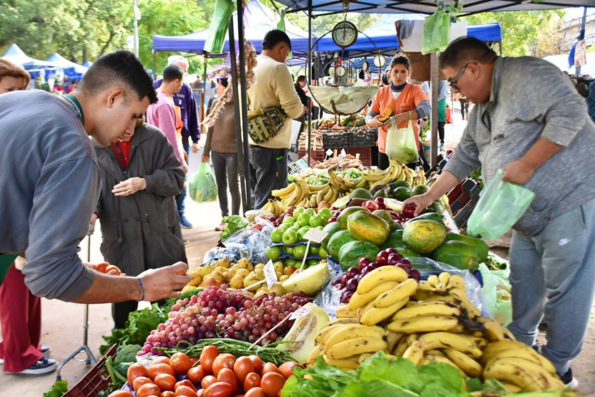 Frutas y verduras