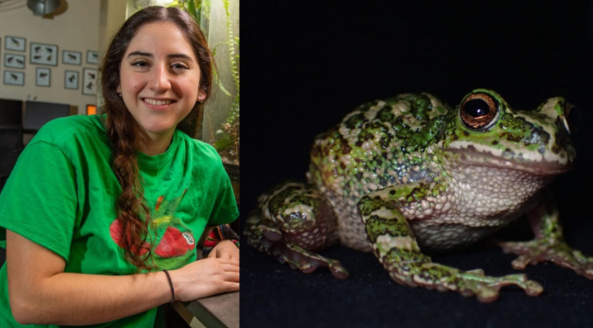 Científica boliviana gana beca internacional para proteger ranas endémicas del Illimani