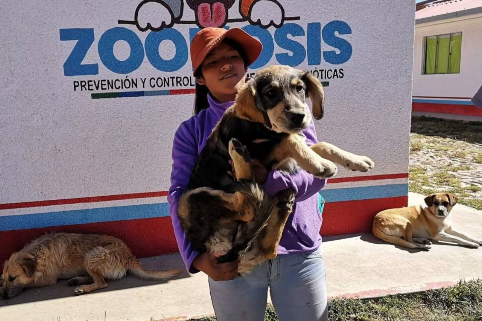 El Alto lanza campaña de esterilización de mascotas a Bs 40