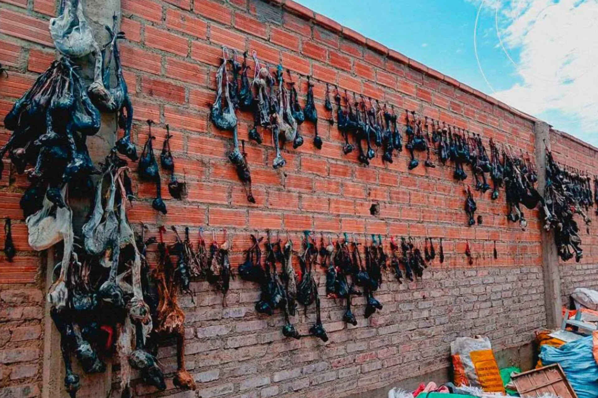 Operativo en Oruro