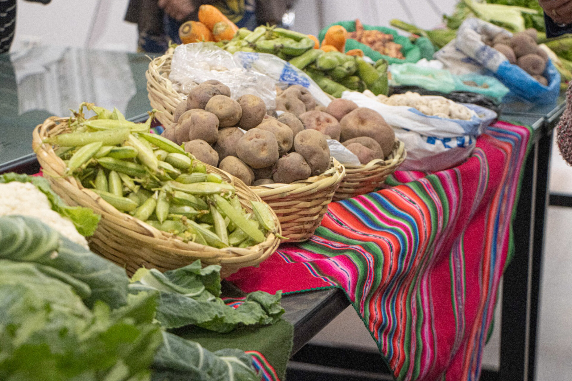 Feria de productores del municipio verduras y frutas