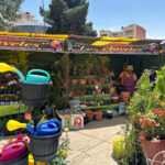 Feria de plantas